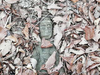 画像に含まれている可能性があるもの:木、屋外